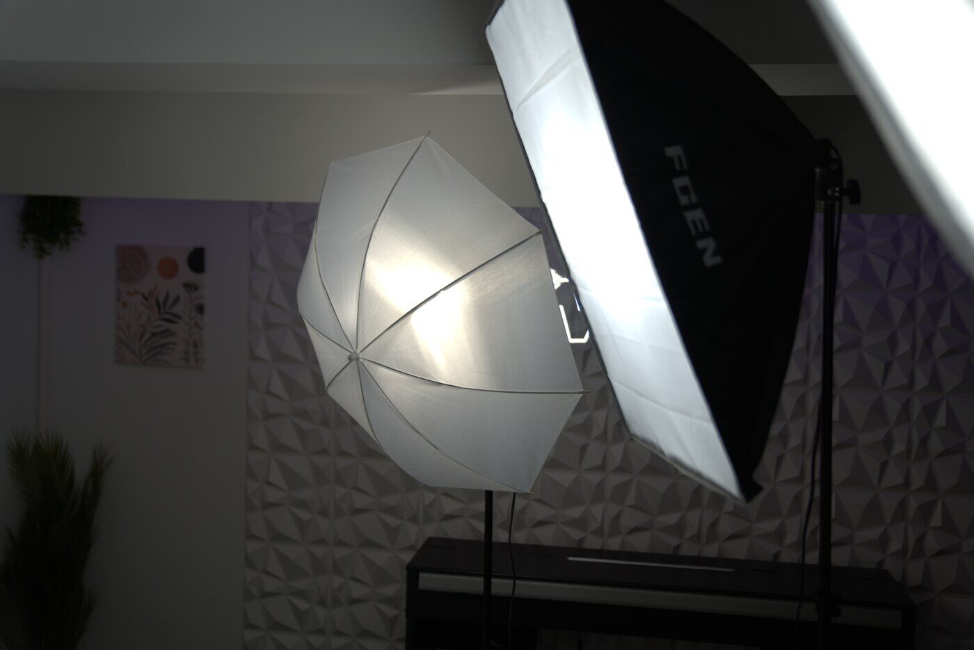Foto y contenido